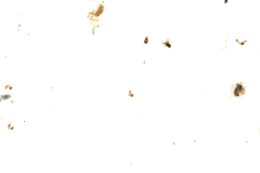 Image 107